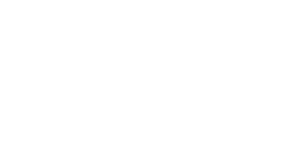 Logo Seize